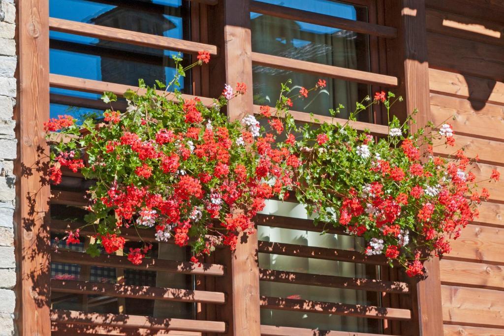 אלאניה ואלססיה Pietre Gemelle Resort מראה חיצוני תמונה